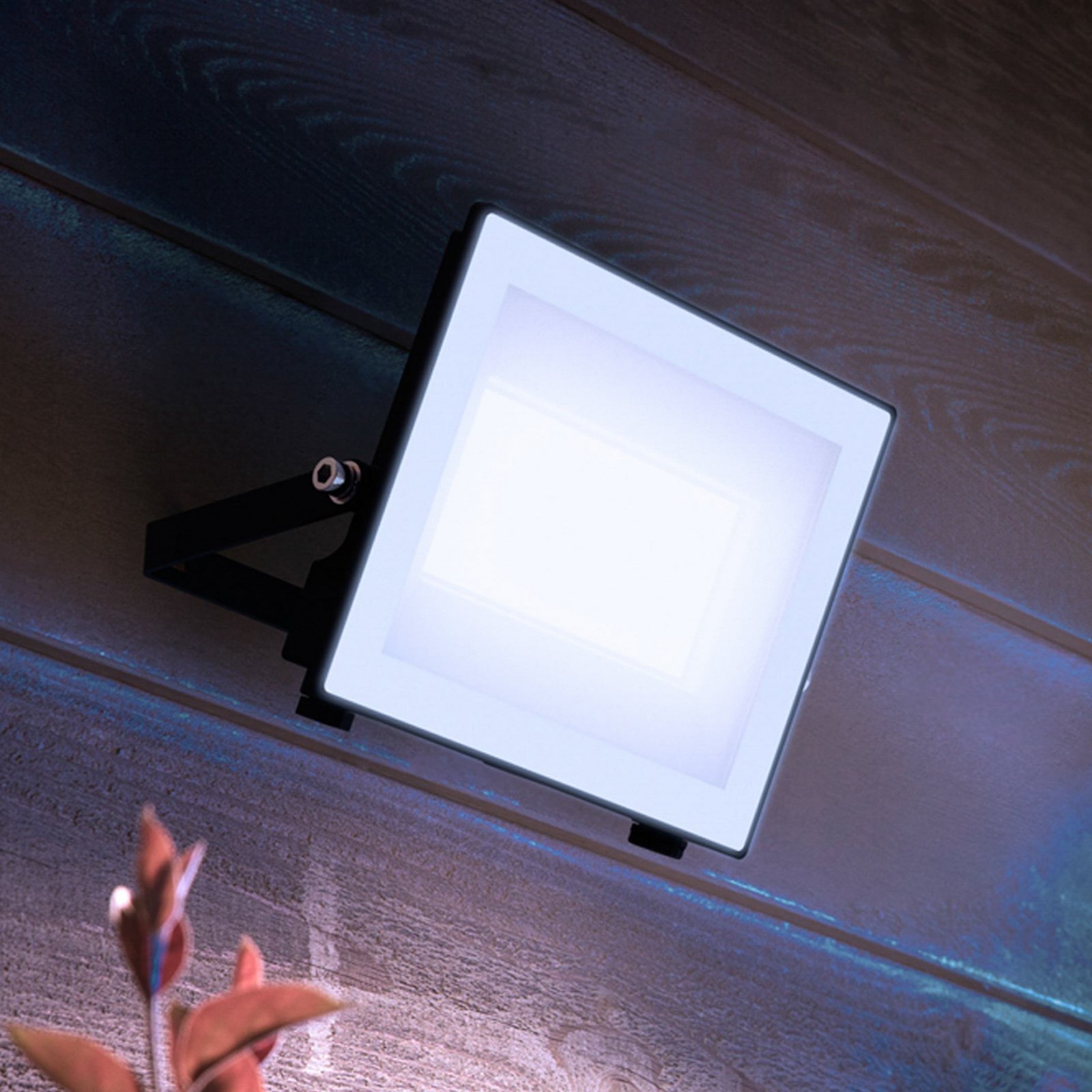 Philips LED-Außenstrahler Lois UE flood, 24 W, 5.000 K, IP65