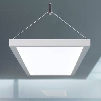 IDOO VTL LED hanging light, DALI, 65 W, CCT