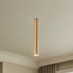 Ceiling spotlight Eye, height 40 cm, brass