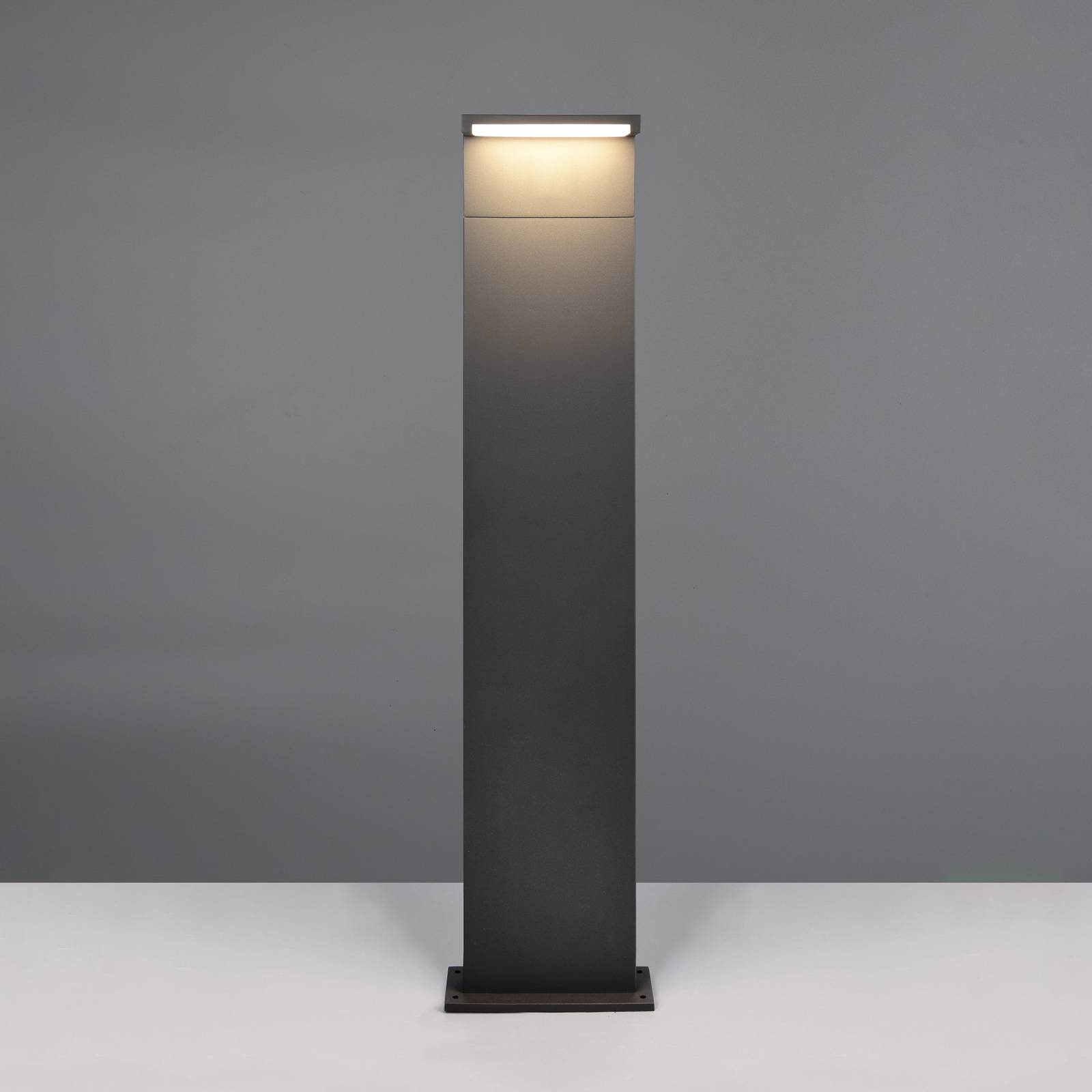 Trio Lighting LED tuinpadverlichting Ravi, antraciet, hoogte 100 cm, metaal, IP65