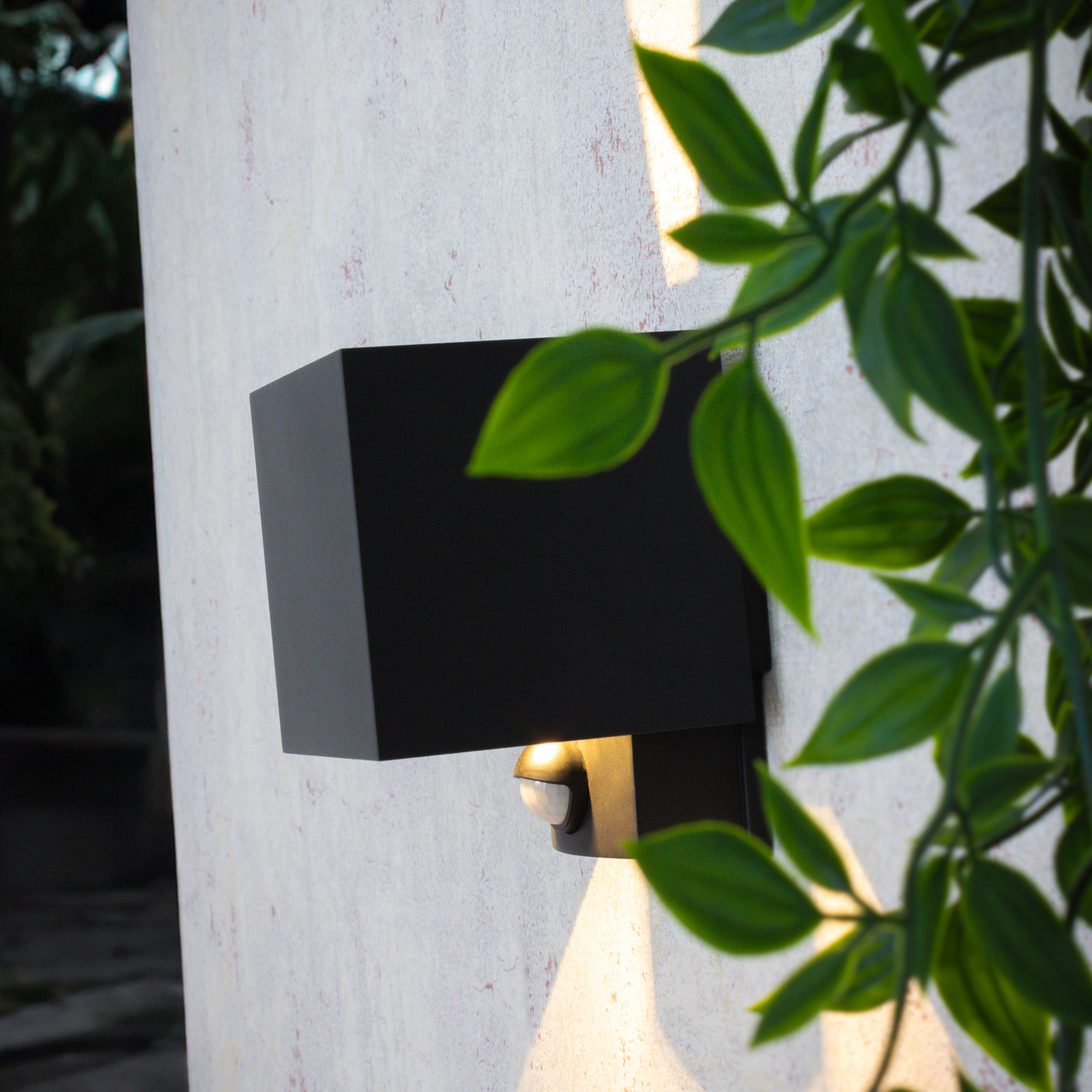 LED vanjska zidna svjetiljka Dubai, antracit, širina 10 cm, senzor