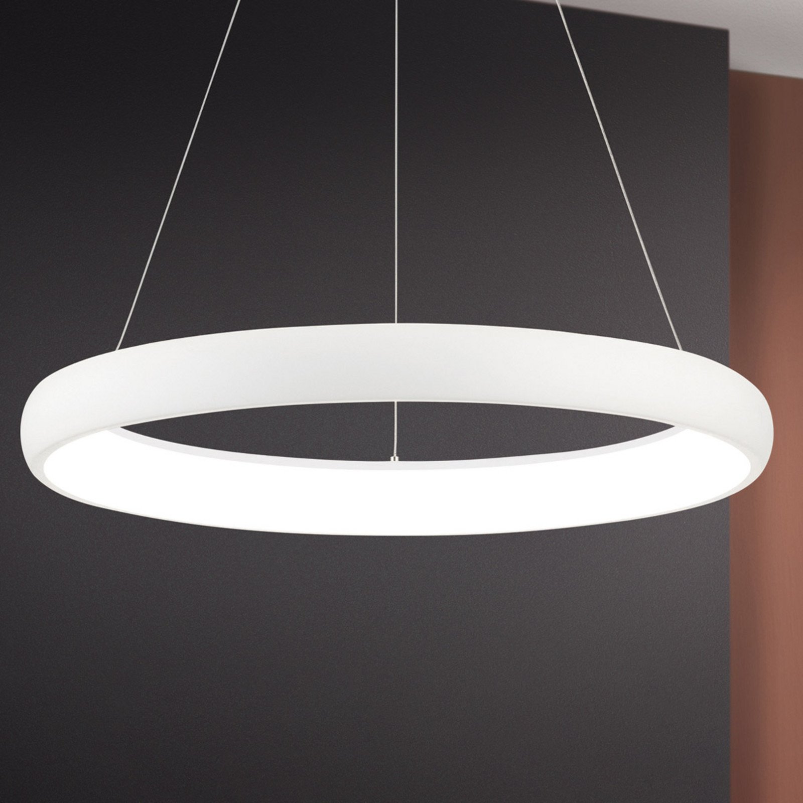 ORION Lampă suspendată LED Venus formă de inel - Camera de zi / sufragerie - modern - alb - Plastic