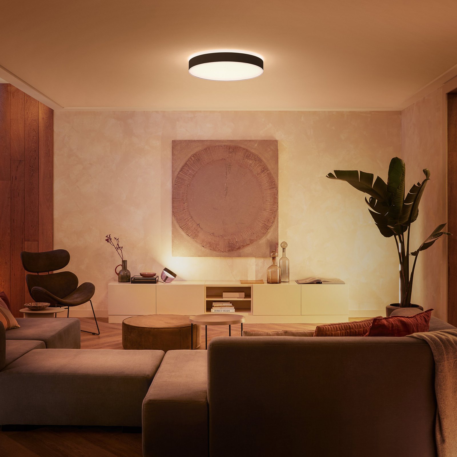 Hue Enrave XL Deckenleuchte White Amb. Black - Philips Hue