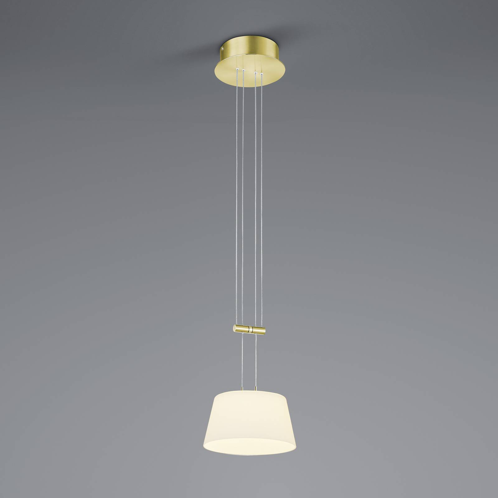 BANKAMP Conus LED suspension 1 lampe laiton