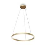 Maytoni Suspension LED Rim à 1 lampe couleur laiton Ø60cm 4000K