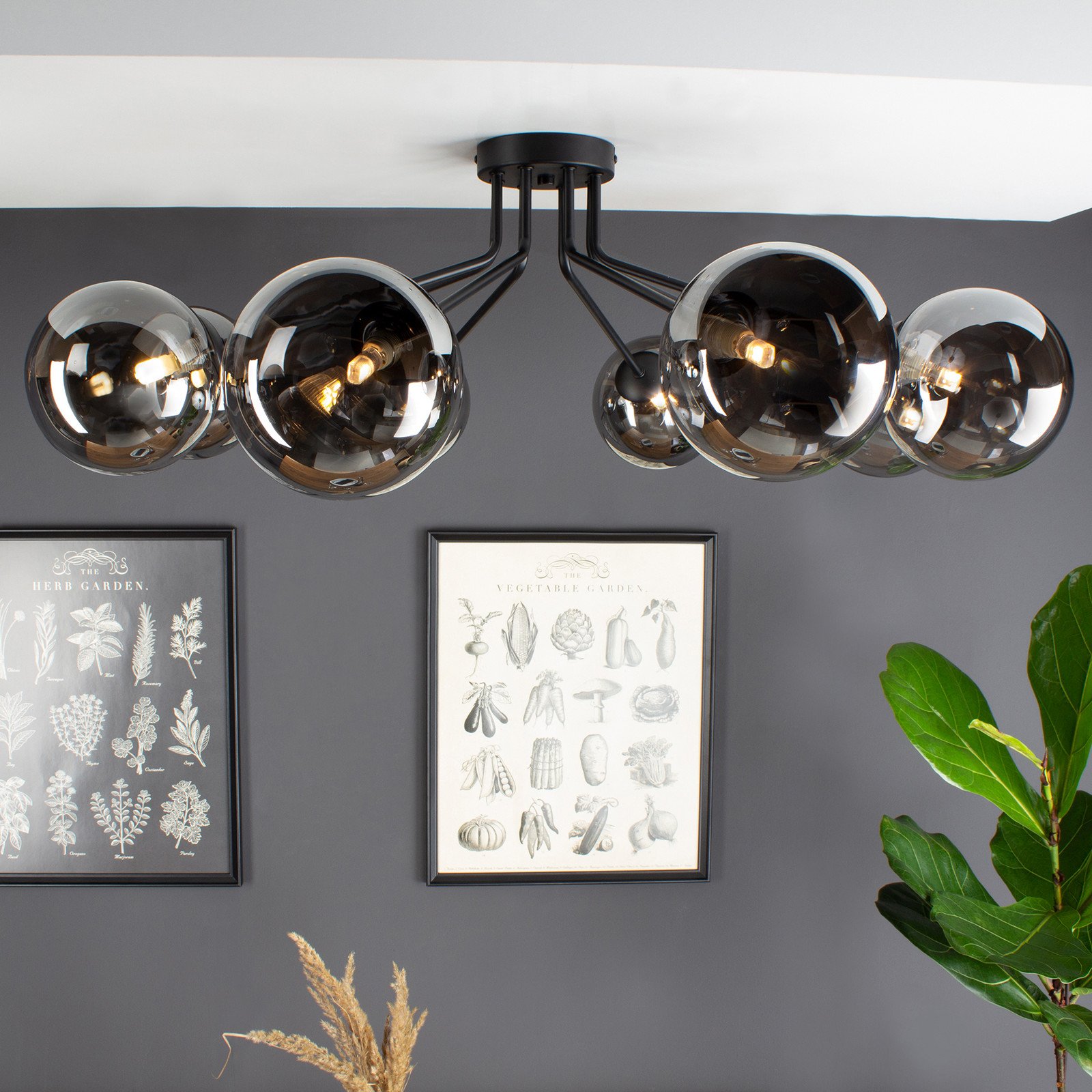 Eco-Light Neptun plafonieră negru 8 globuri sticlă fumurie - Camera de zi / sufragerie - negru mat negru fumuriu - Metal