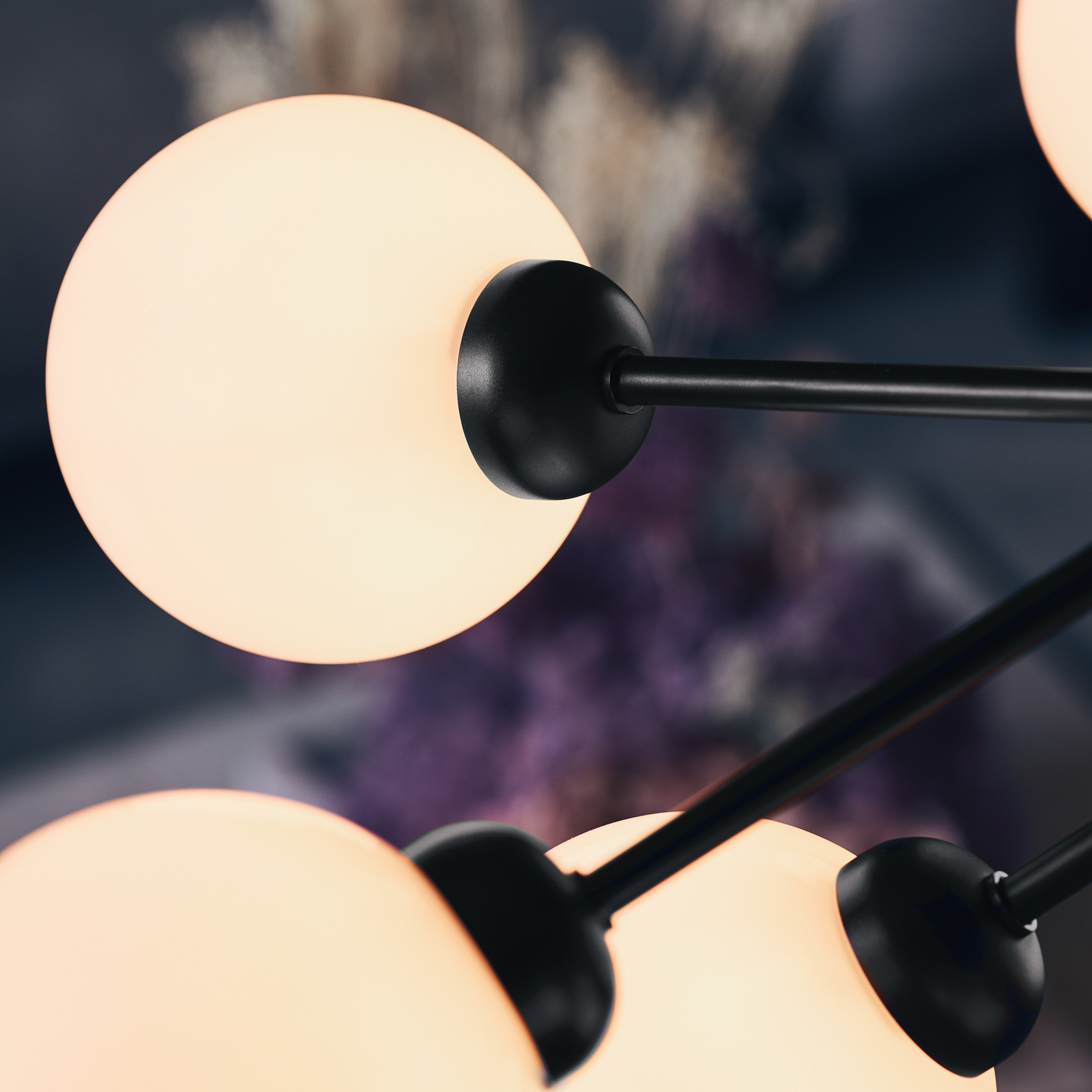 Apiales 9 Lampadario Raso Nero/Bianco Opale - Nuura