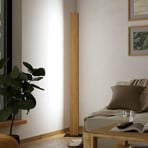 LED-gulvlampe Anchorena-Z, høyde 150 cm, RGB, CCT