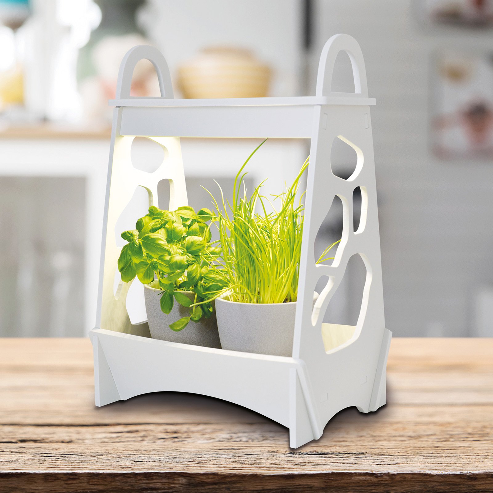 Näve Garden LED table lamp, growth enhancing, 36 cm, for Living / Dining Room, plastic, 14 W, energy efficiency: A+, L: 48 cm, W: 25 cm, H: 50 cm