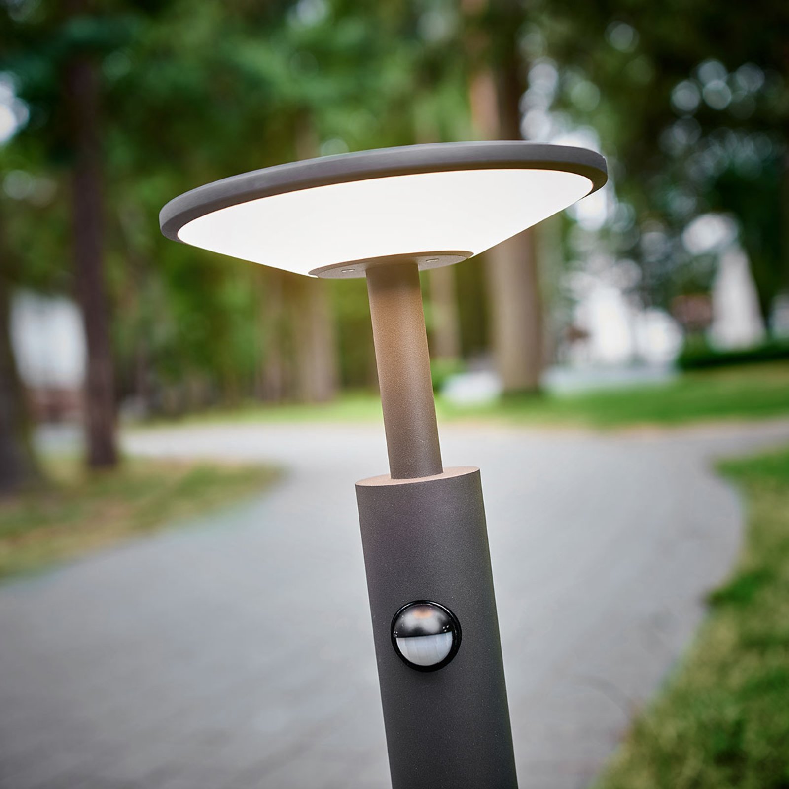 Fenia LED LED Gartenleuchte H60 w/Sensor Anthracite - Lucande