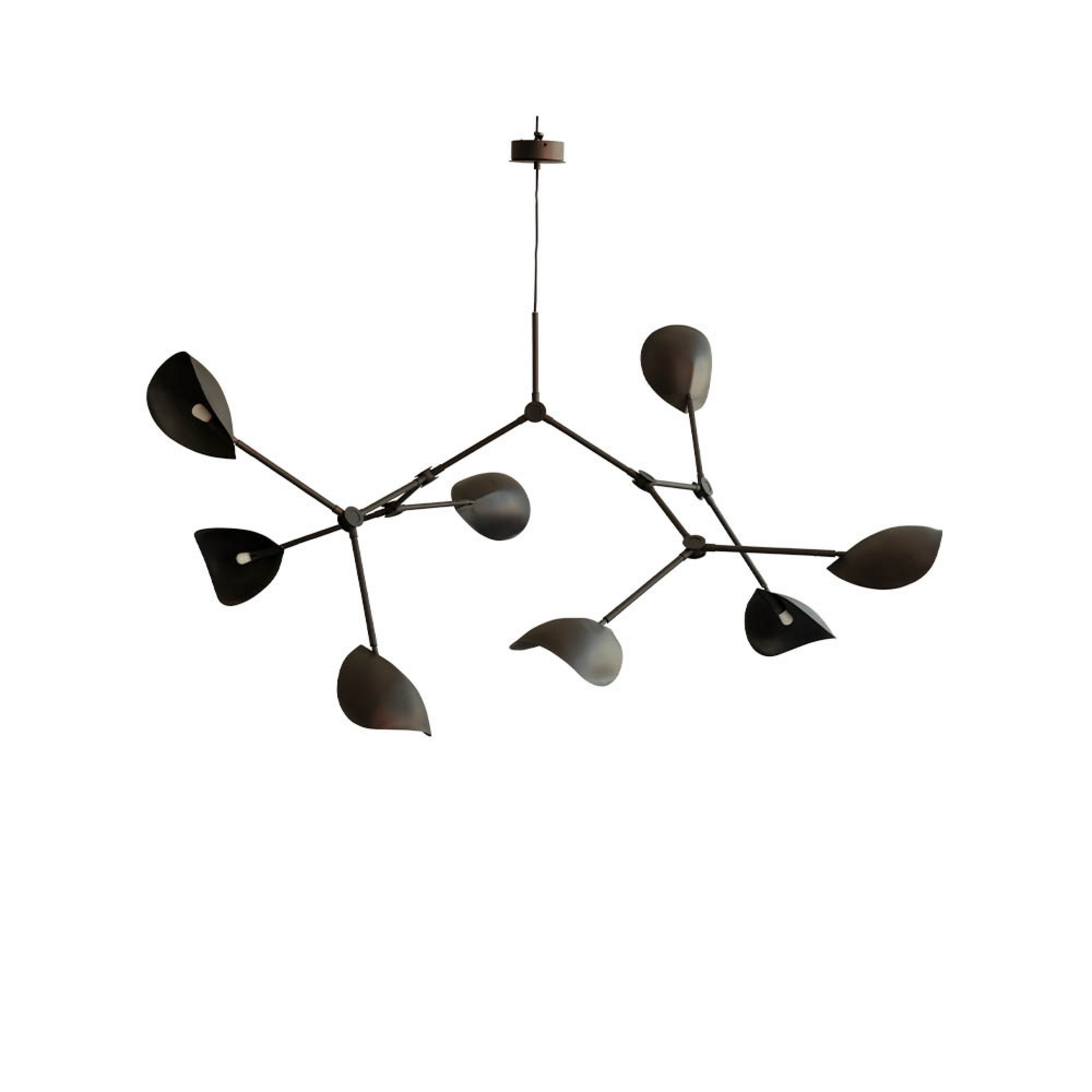 Stingray Lustre Grande Burned Black - 101 Copenhagen