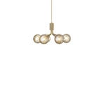 Nuura Pendelleuchte Apiales 6, Ø 50 cm, messingfarben/gold