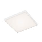 LED ceiling light Frameless RGBW, square