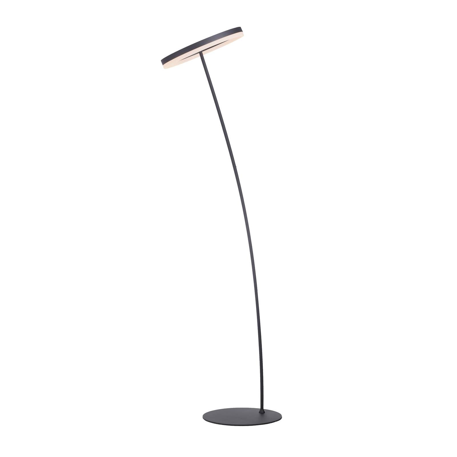 Paul Neuhaus Lámpara de pie LED - Lámpara de lectura - Lámpara de pie - Salón / Comedor - antracita, blanco - Aluminio