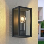 Lindby outdoor wall light Peldar, transparent, 1-bulb