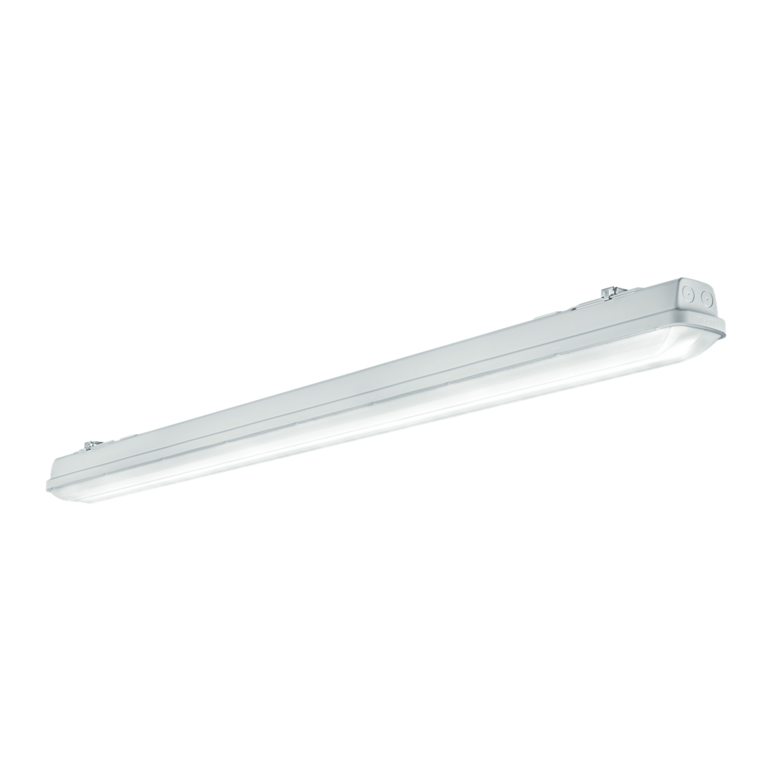 Thorn Aquaforce Pro L Feuchtraumleuchte QC3 160cm