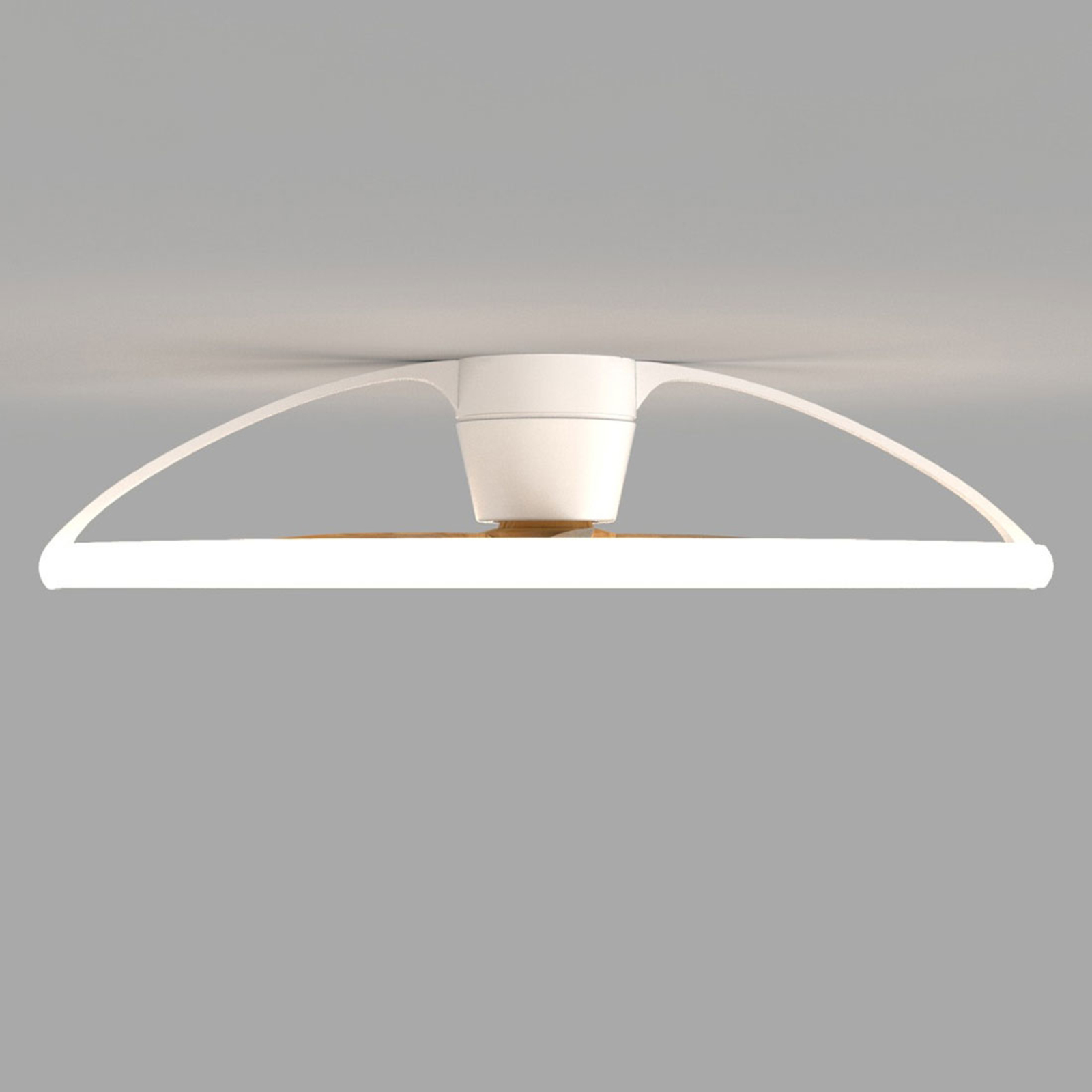 Ventilateur de plafond LED Nepal, blanc/hêtre