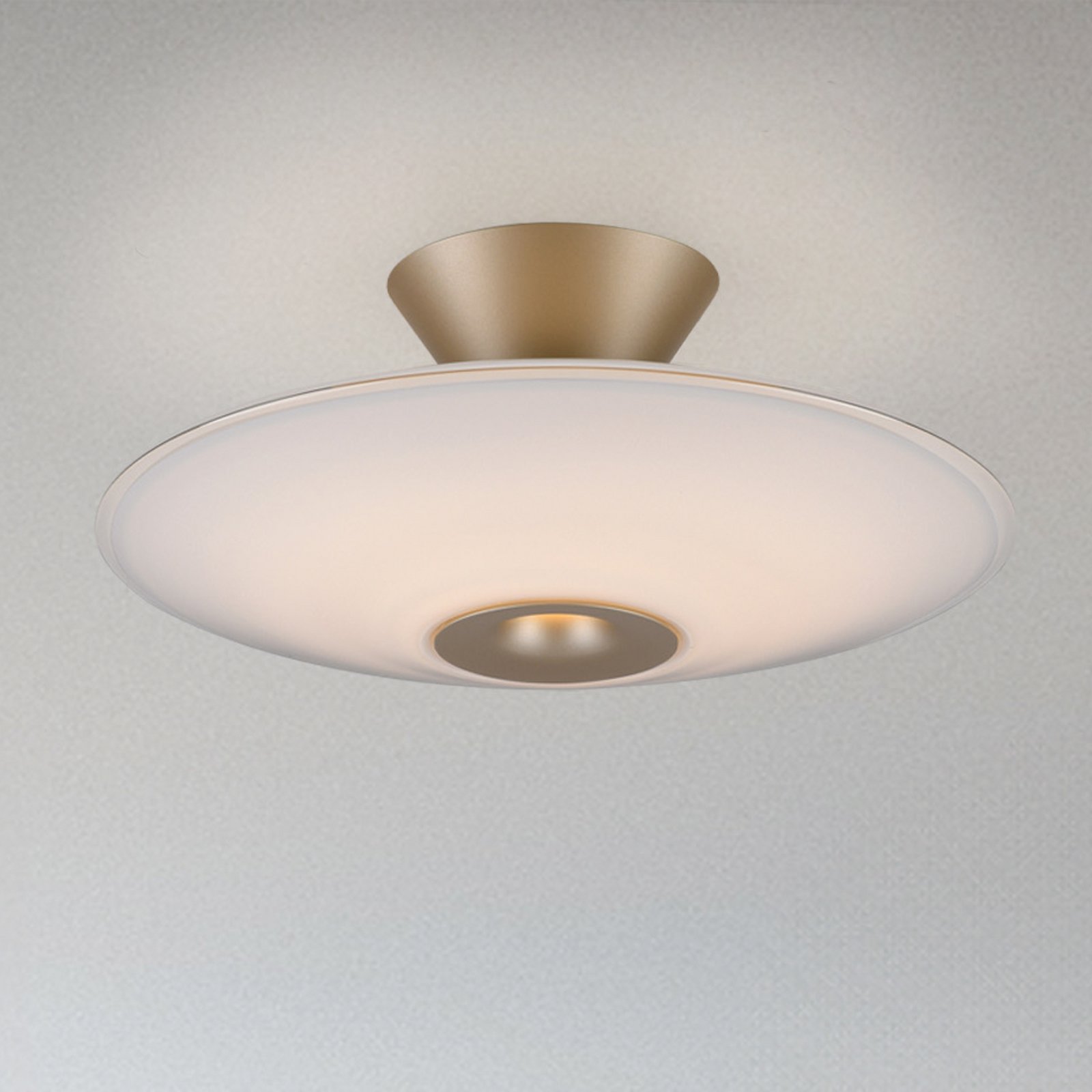 Paul Neuhaus LED-Deckenleuchte Elipsa, weiß/bronze, Ø 35 cm