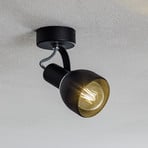 Fiord ceiling spotlight, one-bulb, black