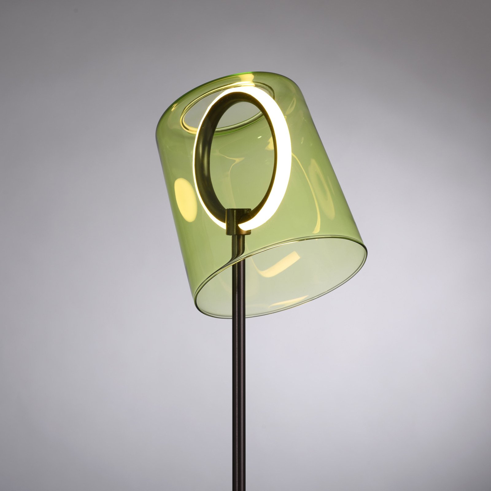 Paul Neuhaus lampe de table LED Zula, vert, hauteur 42 cm