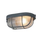 Deckenleuchte Lisanne, grau, oval, Metall, Glas, E27