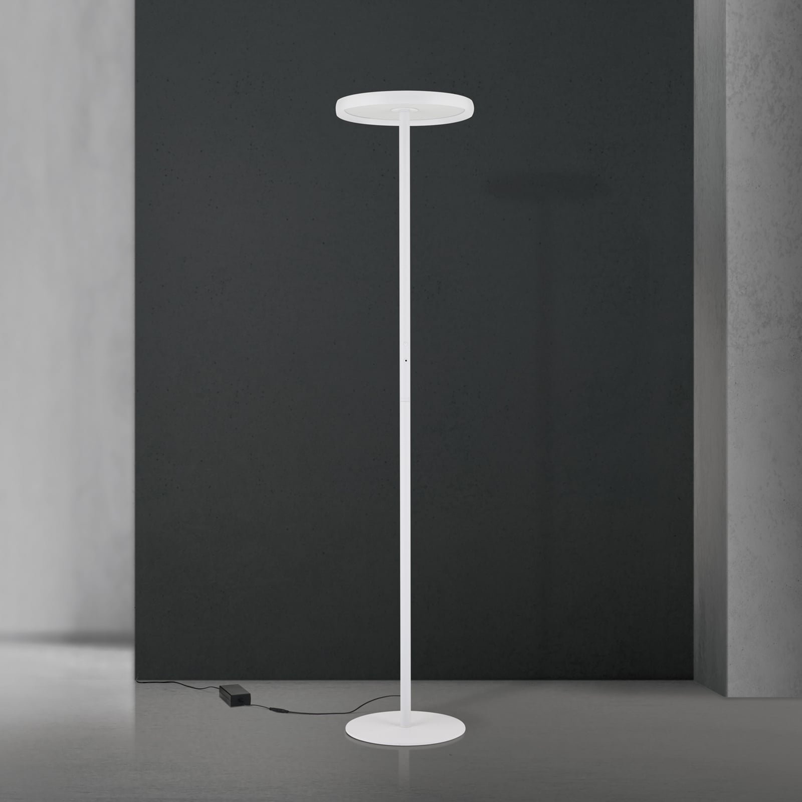 Candeeiro de pé LED KANT, branco, altura 185 cm, CCT, regulável, up/down Candeeiro de pé LED KANT, branco, altura 185 cm, CCT, regulável, up/down