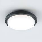 EVN Tectum LED zunanja stropna svetilka, okrogla, Ø 24,6 cm