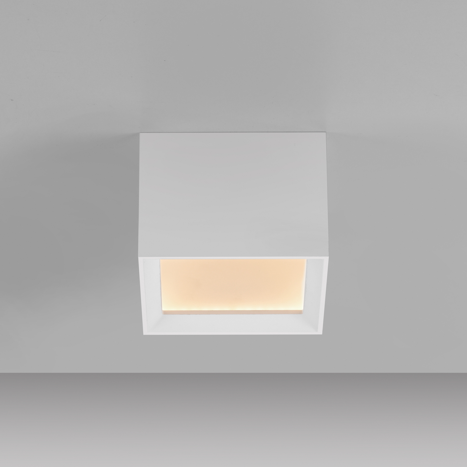 LED-stropna svetilka PURE Manhatten, bela, 1-žarilna, CCT