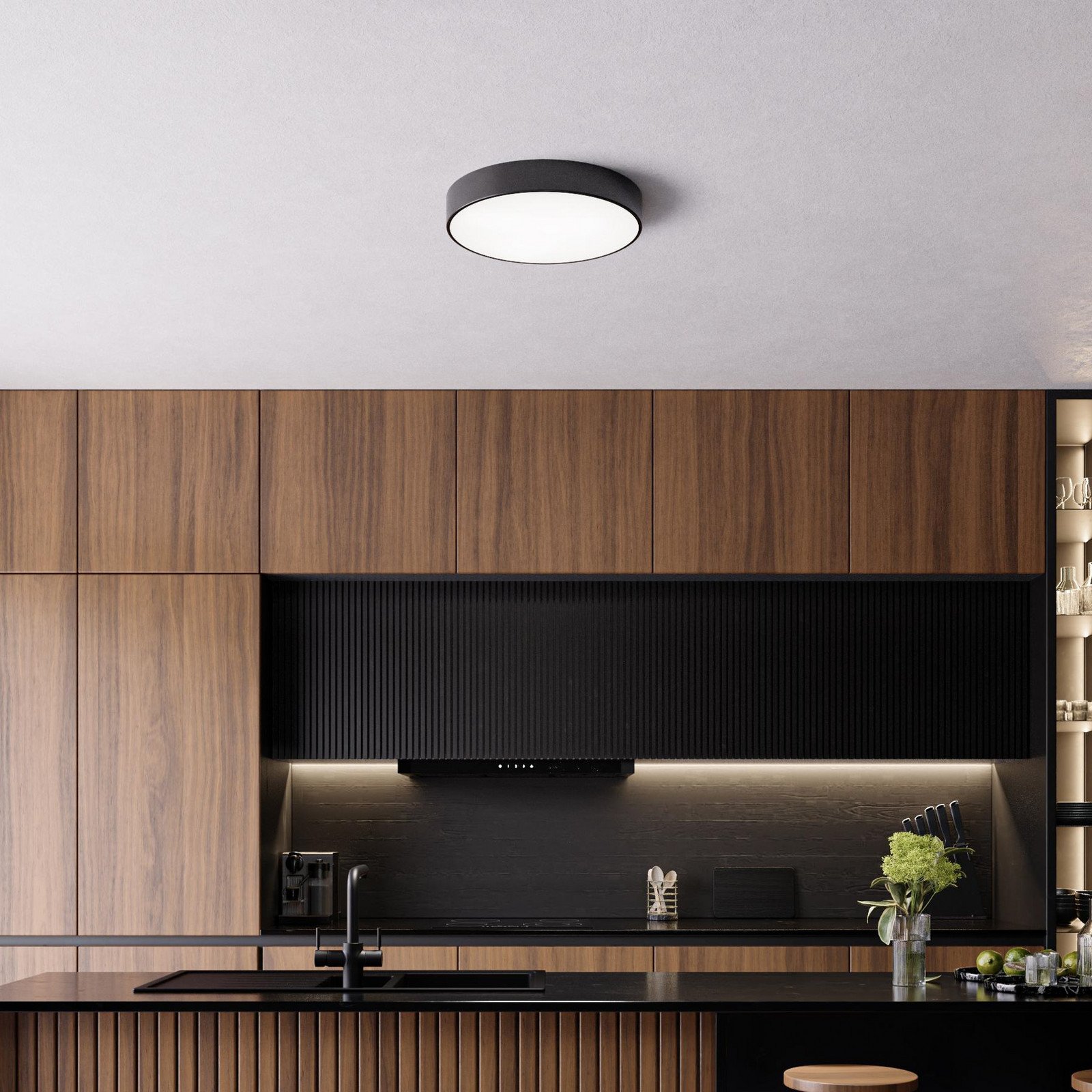 TEMAR LIGHTING Plachetă Cleo Ø 50 cm IP54 negru metal E27 - Baie