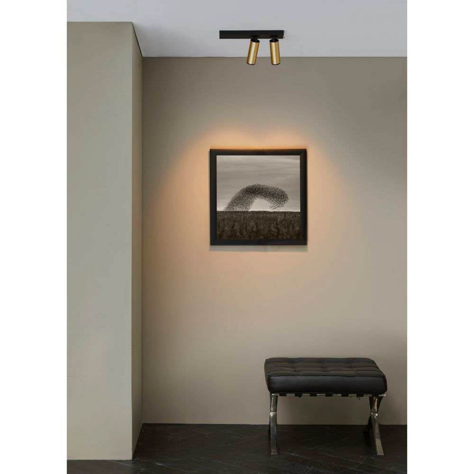 X-Beam Plafonnier Double Black Gold - Loom Design