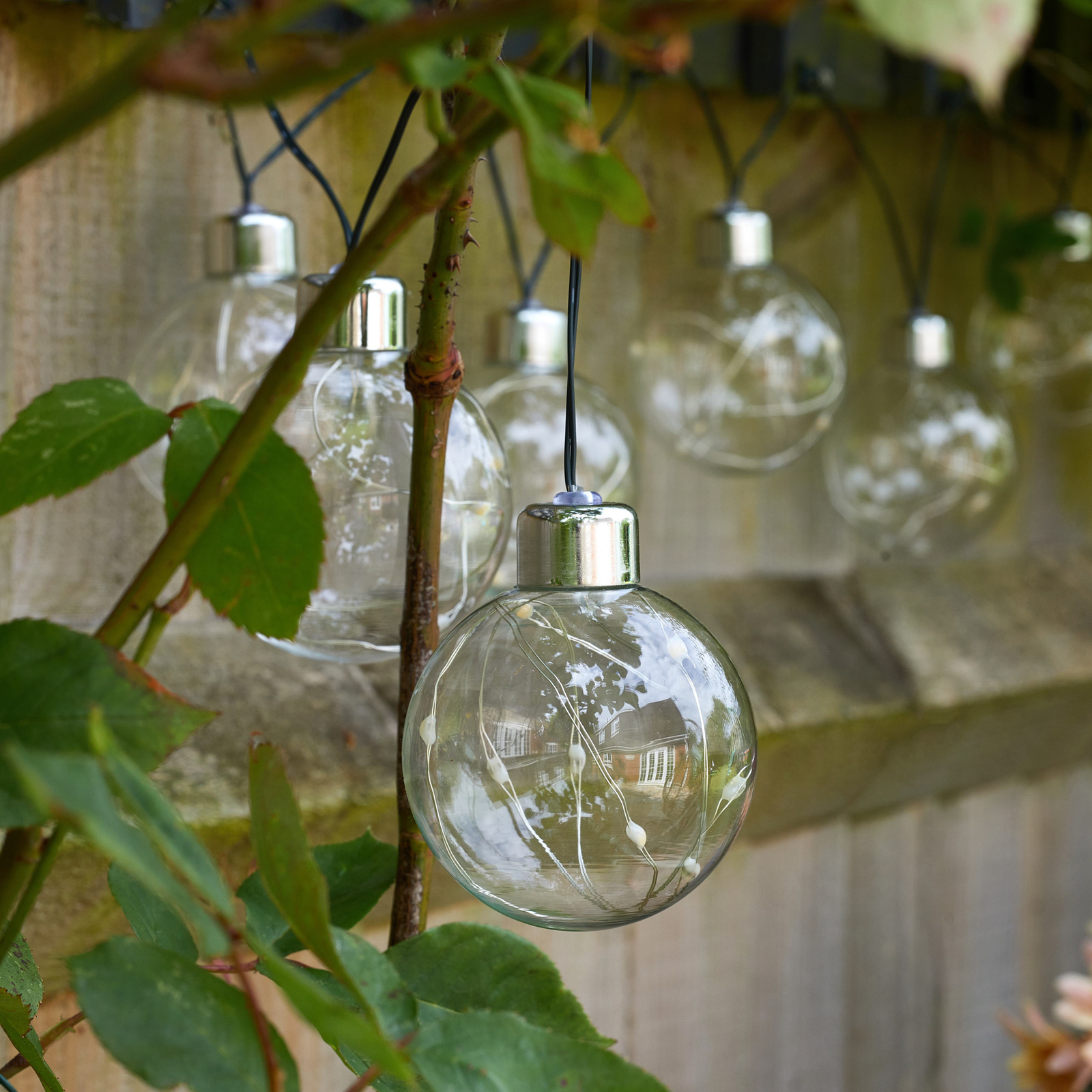 Firefly Orb 365 LED fairy lights, 10-bulb, glass