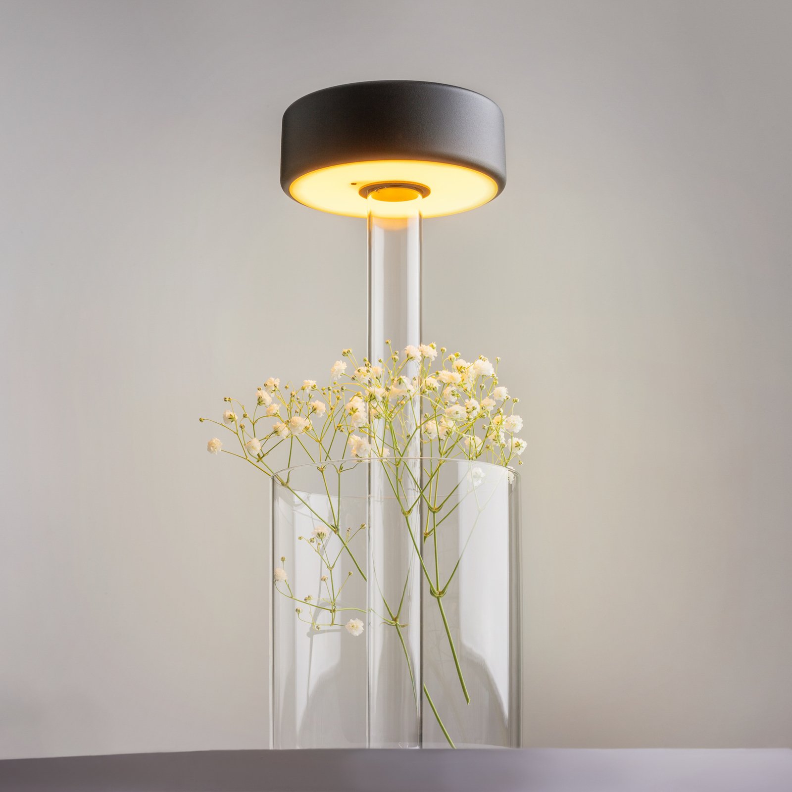 Maytoni LED oppladbar bordlampe AI Collaboration, glass, svart