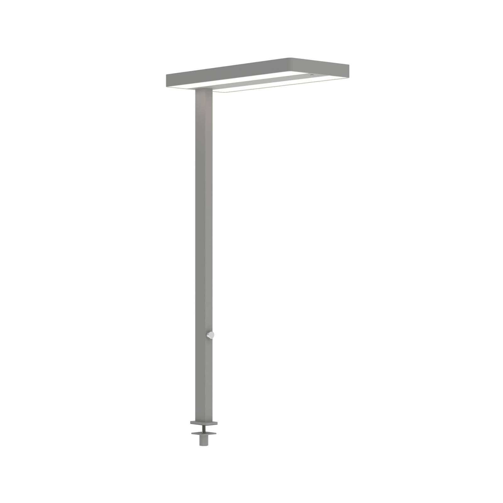 Maul Tischeinbau-Adapter für LED-Standleuchte Mauljuvis und Mauljaval