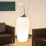 Lámpara decorativa Storus V plantable blanca translúcida