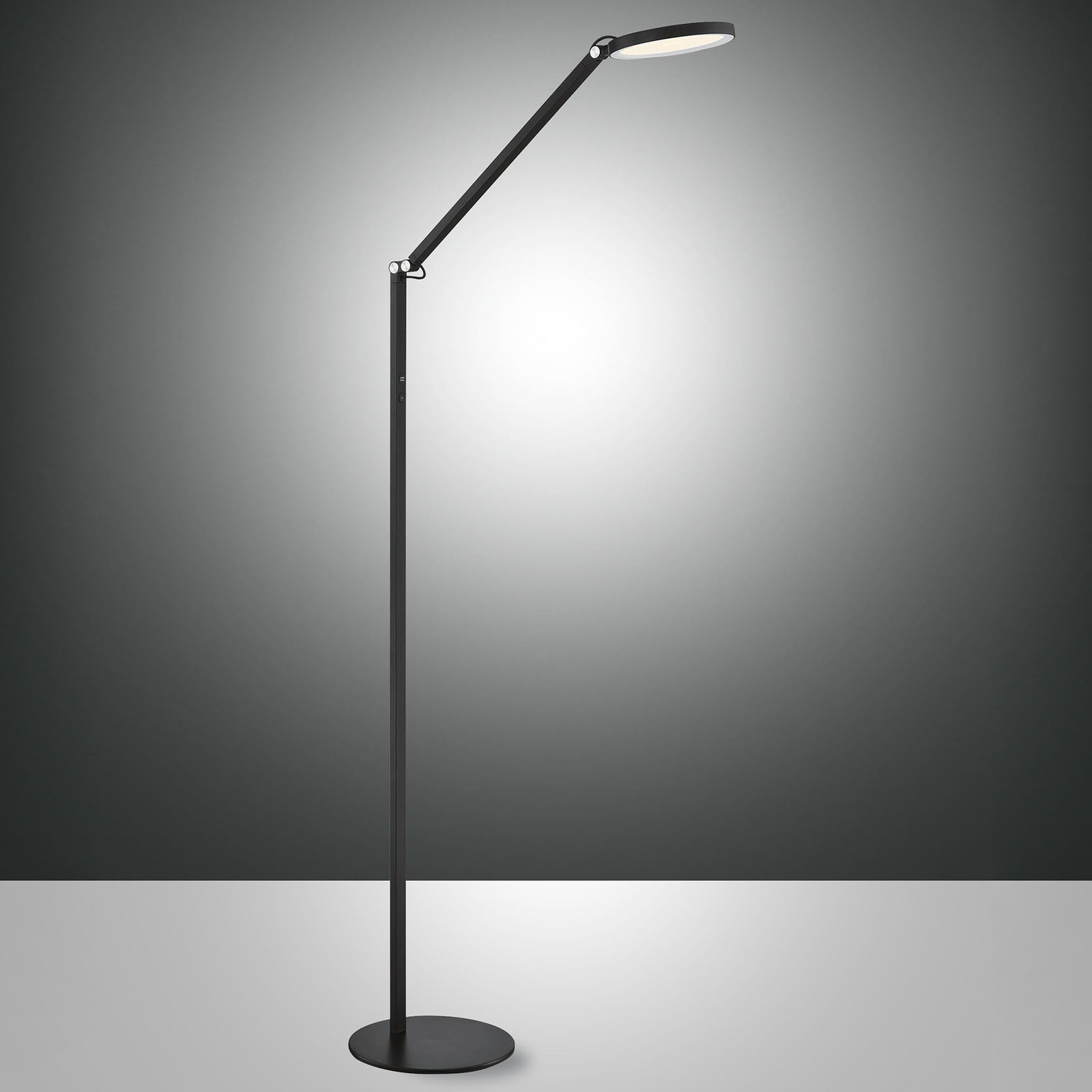 LED-Stehleuchte Regina, 1-flammig