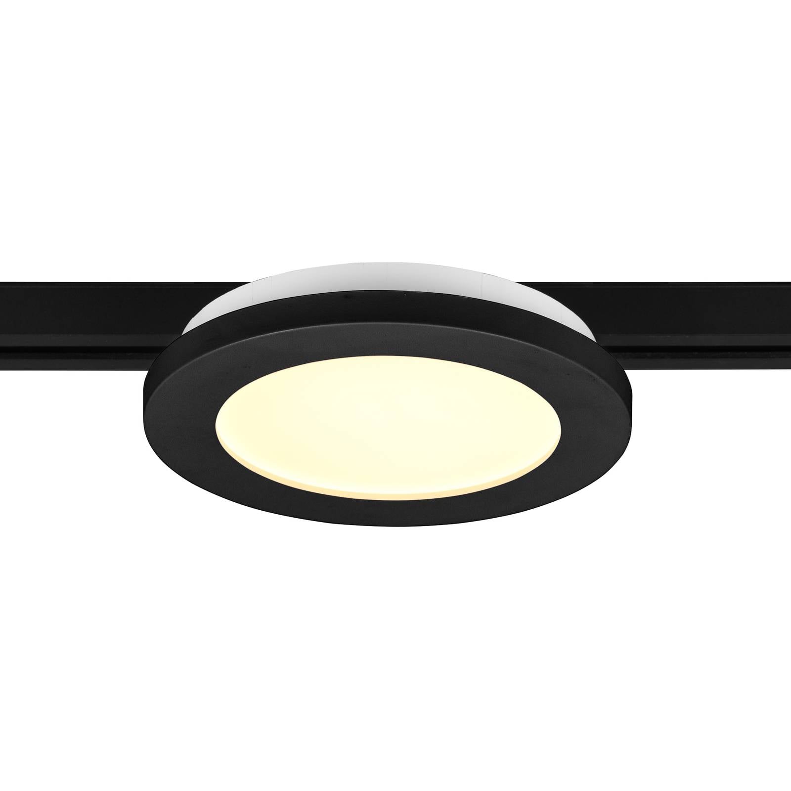 LED-Schienenleuchte Camillus für DUOline, schwarz, Ø 17 cm