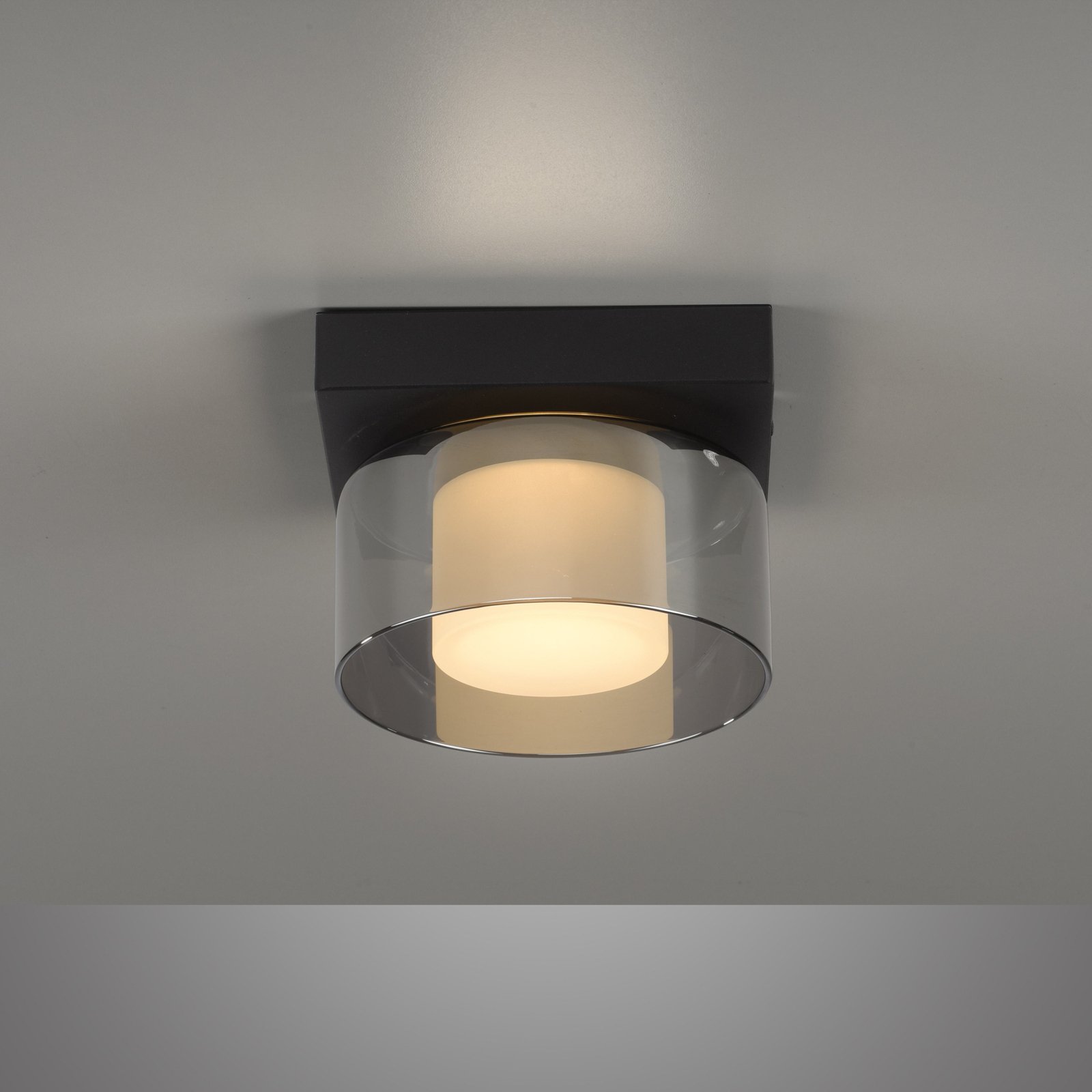 Paul Neuhaus plafondlamp Rika, zwart, lengte 15 cm