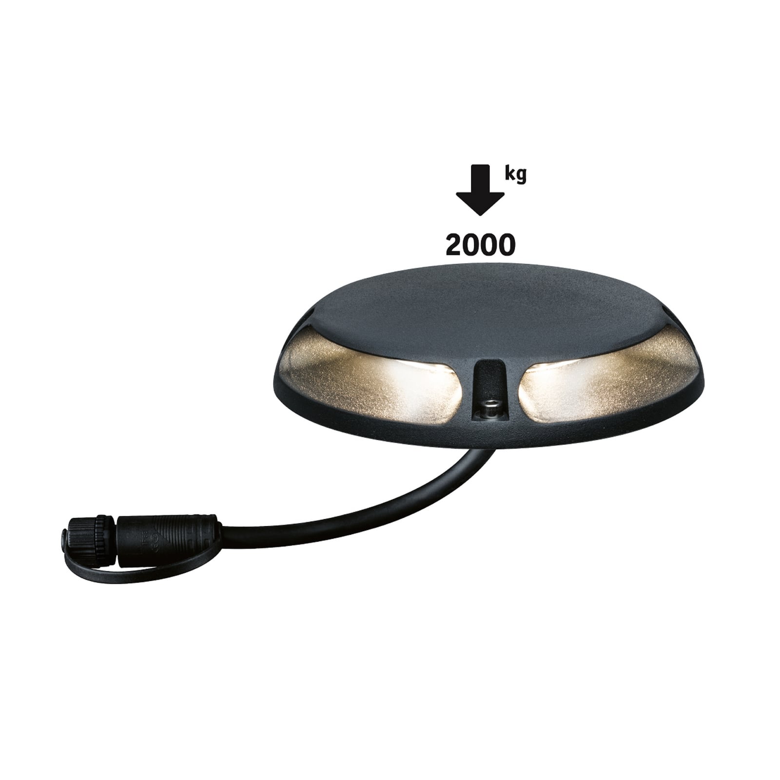 Paulmann Plug & Shine Lampe de sol LED 93920 2x3W
