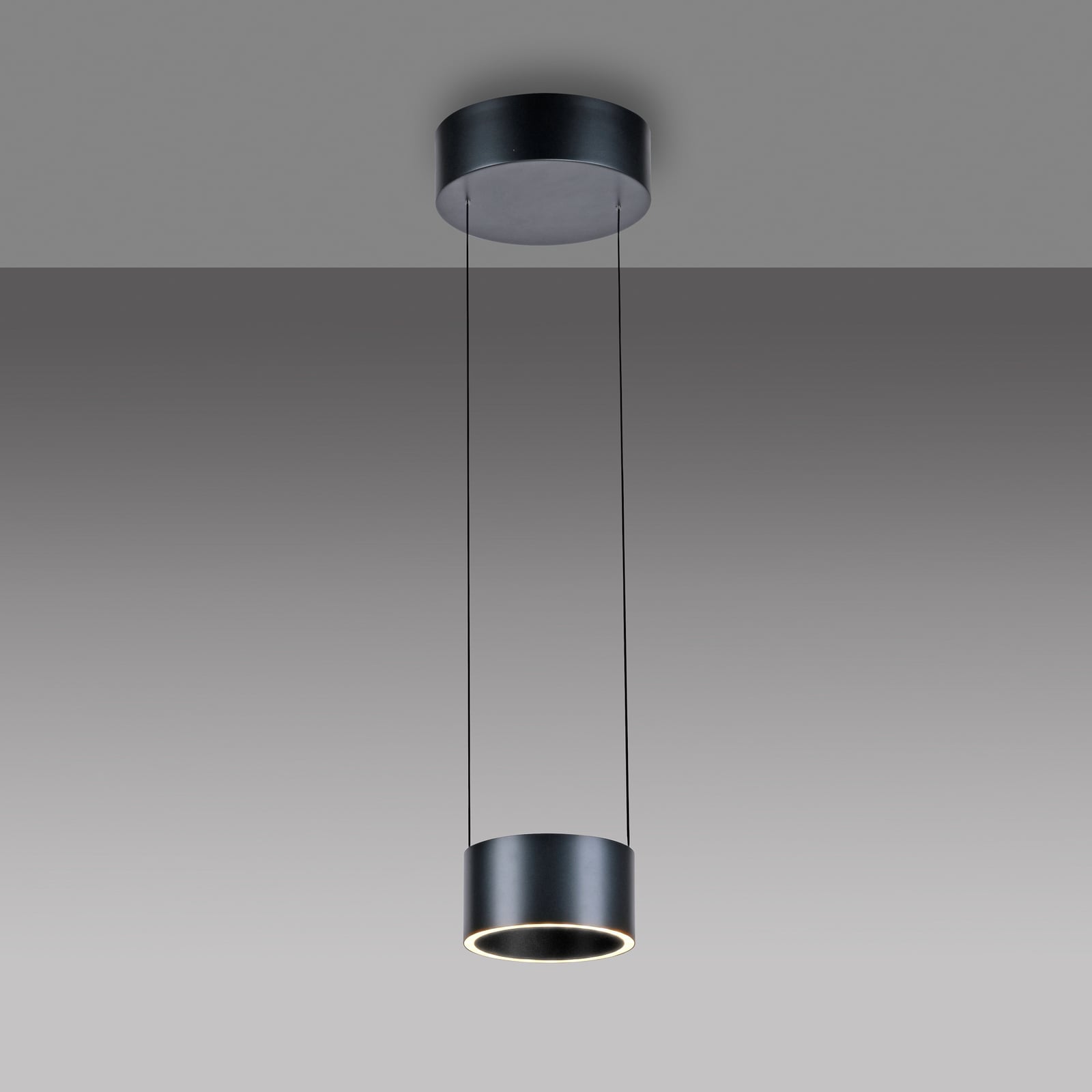 Clipse LED-Pendellampe, grau, Ø 20cm CCT Dimmer 2-flg - PURE Clipse LED-Pendellampe, grau, Ø 20cm CCT Dimmer 2-flg - PURE