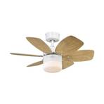 Ceiling fan Flora Royale with light