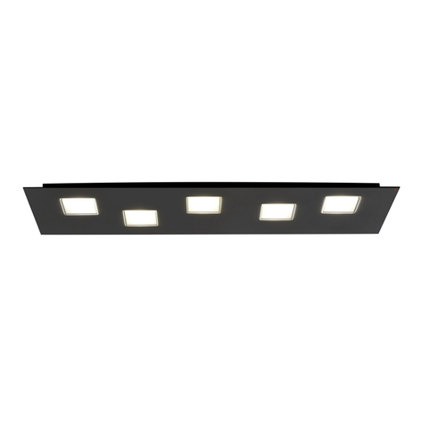 Fabbian Quarter - schwarze LED-Deckenlampe 5flg.