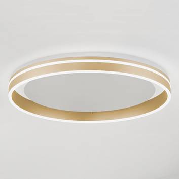 Paul Neuhaus Q-VITO LED stropní světlo mosaz matná