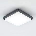 EVN Tectum plafón LED exterior angular 150 grados