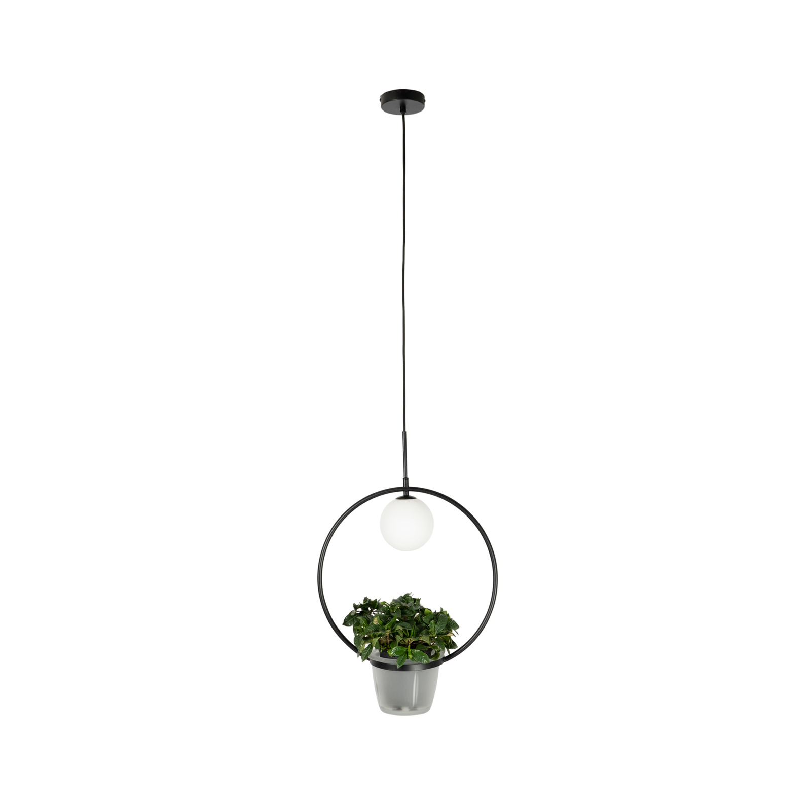 Lindby Orna pendant light 1-bulb hanging basket