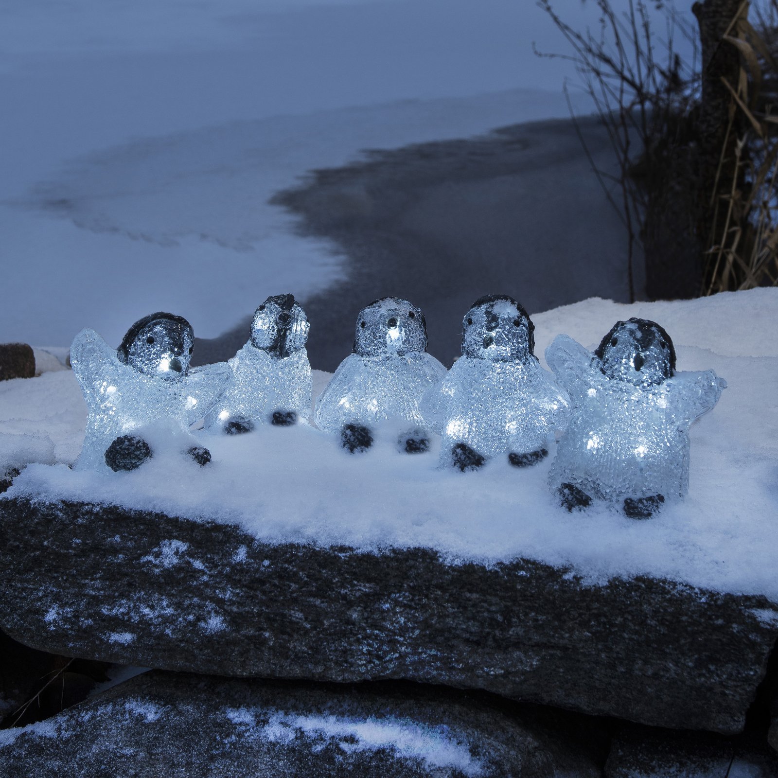 Set van vijf LED acryl lichtfiguren babypinguïns