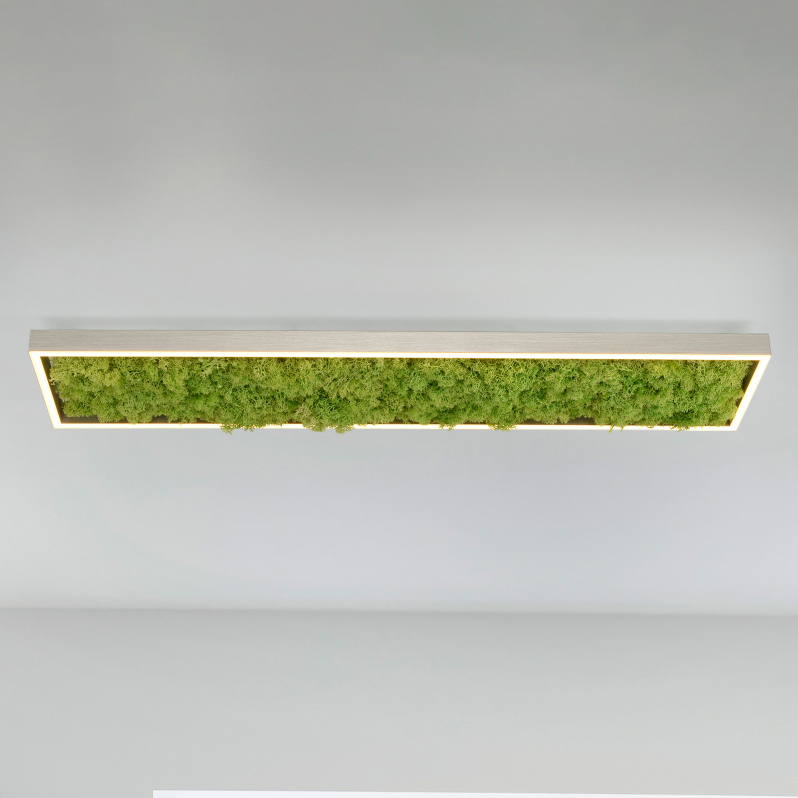 Green Knut LED ceiling light with real moss