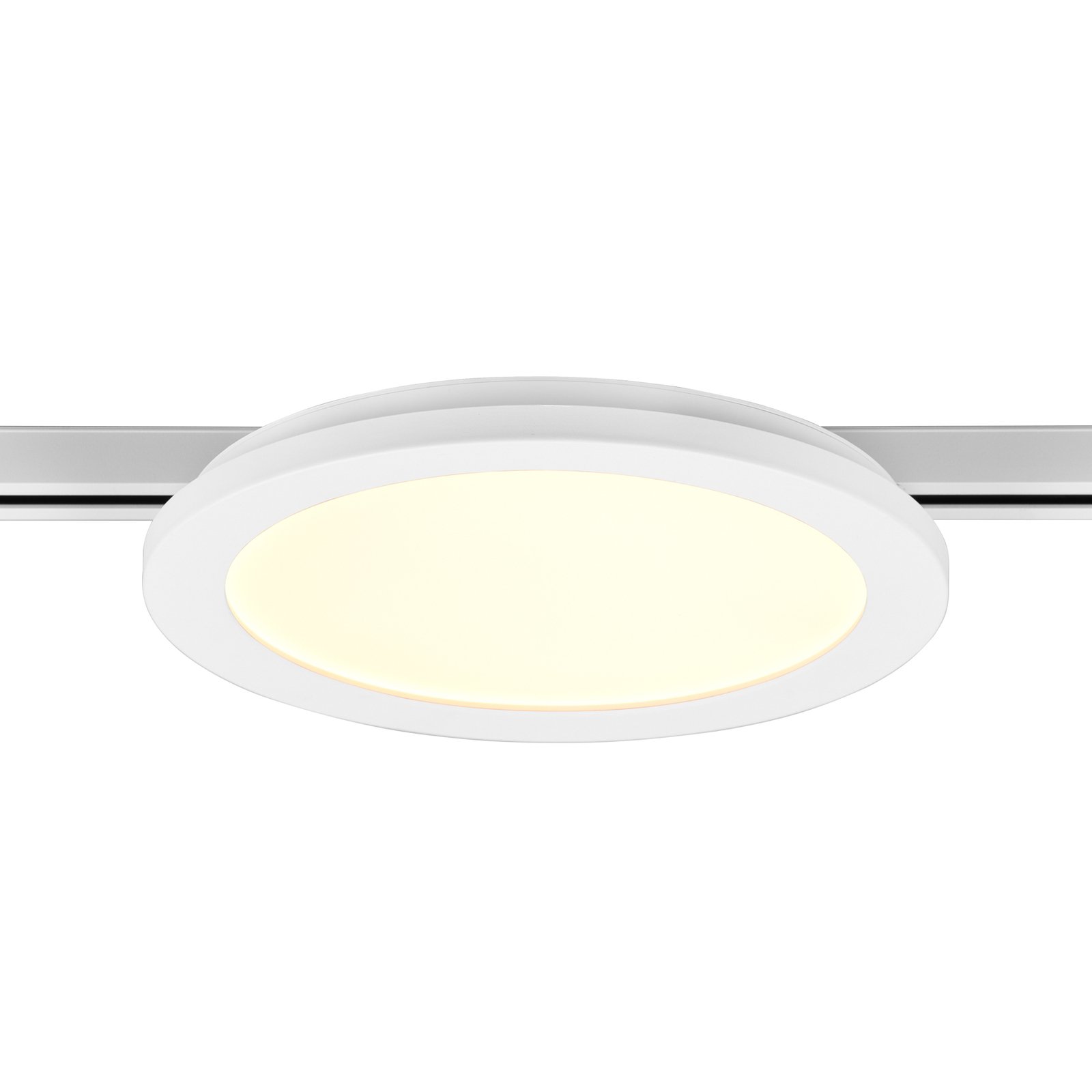 LED-taklampa Camillus DUOline, Ø 26 cm, vit