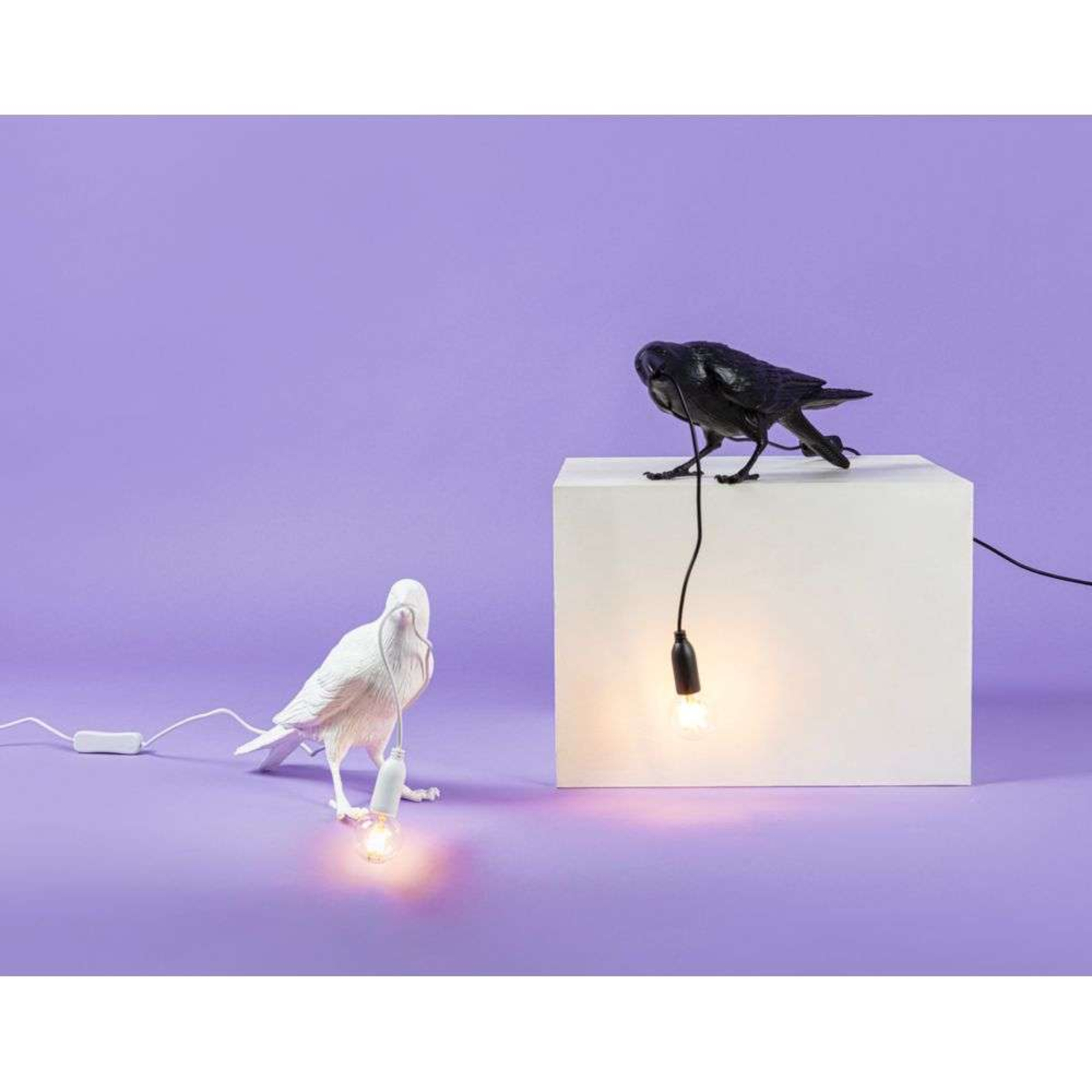 Bird Lamp Waiting Bordslampa Utomhus Vit - Seletti