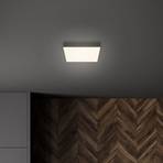 Flame LED ceiling light, 21.2 x 21.2 cm, black