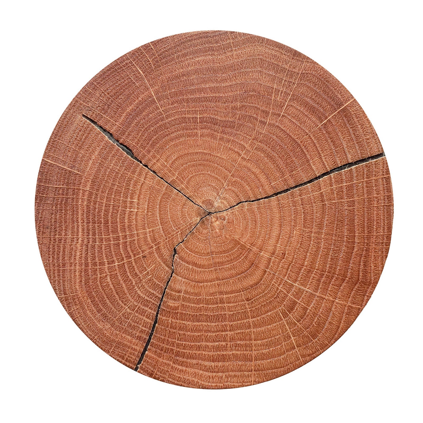 Havana M LED wall light, wood/metal, Ø 34 cm, IP44